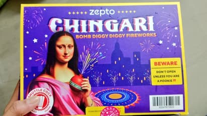 Diwali 2024: 'Indianised' version of Mona Lisa on Zepto's gift box goes viral, leaves Internet in splits