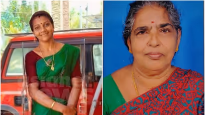 ഭർതൃമാതാവിനെ പാറക്കല്ല് കൊണ്ട് തലയ്ക്കടിച്ച് കൊന്ന കേസ്; മരുമകൾക്ക് ജീവപര്യന്തം കഠിന തടവ്