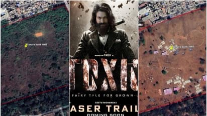 സൂപ്പർ താരം യഷിന്‍റെ 'ടോക്സിക്' വിവാദത്തിൽ, സിനിമയുടെ ചിത്രീകരണത്തിനായി മുറിച്ചത് 100ലേറെ മരങ്ങൾ