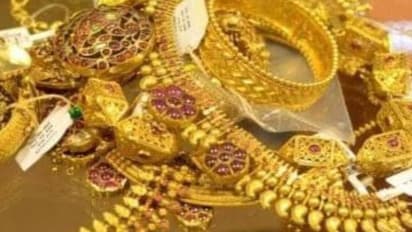 दिवालीच्या सफाईत कचऱ्यात फेकले गेले लाखोंचे दागिने, नगर निगमने शोधून परत केले