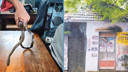 ഓഫീസ് പൂട്ടുന്നതിനിടെ കയ്യിലൊരു മുറിവ്, നോക്കിയപ്പോൾ പാമ്പ്; മലപ്പുറത്ത് സർക്കാർ ജീവനക്കാരന് പാമ്പ് കടിയേറ്റു