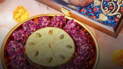 വില 24,000 രൂപ, ദീപാവലിക്ക് സ്റ്റാറായി സ്പെഷ്യൽ 'പിഷോരി പിസ്ത', ഡയറ്റുകാര്‍ക്കും കഴിക്കാം