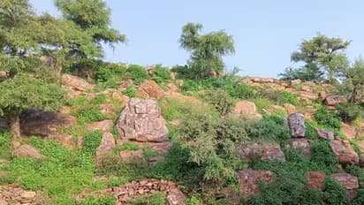 गोवर्धन पर्वताचे आकारमान का घटत आहे, त्याचे दगड का नेऊ शकत नाही?