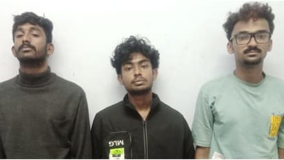 ലക്ഷ്യം മലപ്പുറവും കോഴിക്കോടും, കൈവശമുണ്ടായിരുന്നത് ലക്ഷങ്ങള് വിലവരുന്ന 'ചരക്ക്'; പിടിയിലായത് 3 യുവാക്കള്