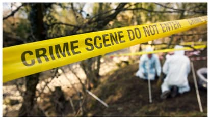 'Drew intestines, flung it in air, sliced organs': Two brothers brutally kill mother's lover in Gujarat