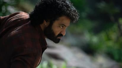 ദേവര ശരിക്കും ഇന്ത്യയില്‍ നേടിയത് എത്ര?, ഫ്ലോപ്പോ, ഹിറ്റോ?, പുതിയ കണക്കുകള്‍