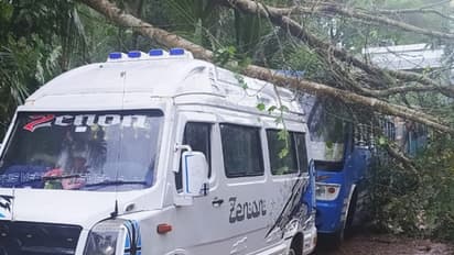 കനത്ത മഴയും കാറ്റും, കോഴിക്കോട് ബസിനും ട്രാവലറിനും മുകളിലേക്ക് മരം പൊട്ടി വീണു
