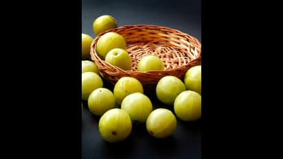 ఉసిరి గుజ్జు మాత్రమే కాదు.. వాటి గింజలు కూడా ఉపయోగపడతాయ్.. ఎలాగంటే?