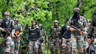 बिस्किटांच्या मदतीने लष्करचा कमांडर ठार