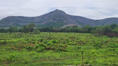 പാലക്കാട് 30 കോടിയുടെ ക്രിക്കറ്റ് സ്‌പോര്‍ട്‌സ് ഹബ് സ്റ്റേഡിയവുമായി കെ.സി.എ; നിര്‍മ്മാണം ജനുവരിയില്‍ തുടങ്ങും