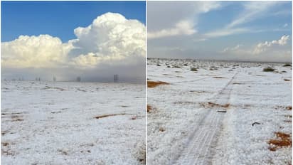 തണുത്തുറഞ്ഞ് സൗദി; മഞ്ഞ് പുതച്ച് വടക്കൻമേഖല