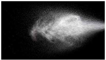 അടിച്ചത് കെമിക്കൽ സ്പ്രേയല്ല, 'ഫാർട്ട് സ്പ്രേ'; ജൂത വിദ്യാർത്ഥിക്ക് മൂന്ന് കോടി രൂപ നല്കാൻ കൊളംബിയ സർവകലാശാല 