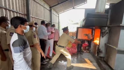 മേൽനോട്ടത്തിന് ഉന്നത ഉദ്യോഗസ്ഥർ; മൂന്ന് കോടി രൂപ വിലമതിക്കുന്ന 1186 കിലോഗ്രാം കഞ്ചാവ് കത്തിച്ചുകളഞ്ഞ് എക്സൈസ്