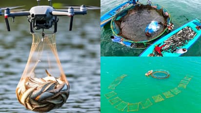 'വിത്ത് വിതയ്ക്കൽ, മീനുകൾക്ക് തീറ്റ വിതരണം, നിരീക്ഷണം', സമുദ്രമത്സ്യ മേഖലയിൽ മുന്നേറ്റത്തിന് ഡ്രോണുകൾ