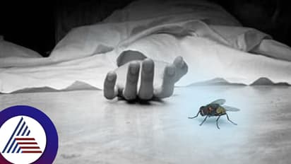 ಘಟಾನುಘಟಿ ಪೊಲೀಸರೂ ಕೈಚೆಲ್ಲಿ ಕೂತಿದ್ದ ಕೊಲೆ ಪ್ರಕರಣ ಬೇಧಿಸಿದ ನೊಣಗಳು! ವಿಚಿತ್ರ ಸ್ಟೋರಿ ಇಲ್ಲಿದೆ...