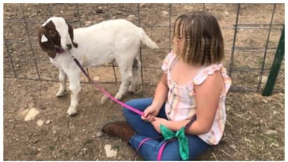 പോലീസ് ഓഫീസർ കൊലപ്പെടുത്തിയ ആടിന്റെ 11 വയസ്സുകാരിയായ ഉടമയ്ക്ക് 2.5 കോടി രൂപ നഷ്ടപരിഹാരം