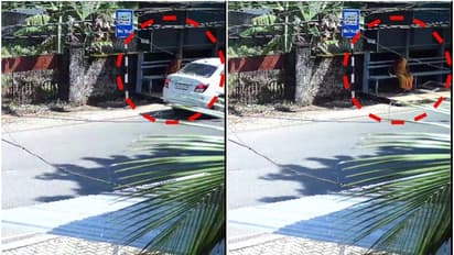 വഴി ചോദിച്ചെത്തി, വയോധികയെ കാറിൽ തട്ടിക്കൊണ്ടുപോയ ശേഷം സ്വർണം കവർന്നു; പ്രതി പിടിയിൽ