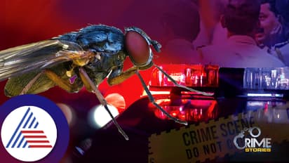 ಈಗ ಮೂವಿ ನೆನಪಿಸಿದ ಪೊಲೀಸ್ ತನಿಖೆ, ನೊಣದ ನೆರವಿನಿಂದ ಆರೋಪಿ ಪತ್ತೆ!