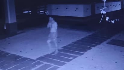 ക്ഷേത്രത്തിലെ വഴിപാട് കൗണ്ടർ കുത്തിപ്പൊളിച്ച് മോഷണം, അതിനുശേഷം മൃഗാശുപത്രിയിൽ; കള്ളനെ തേടി അന്തിക്കാട് പൊലീസ്