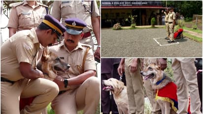 500 ലേറെ കേസുകൾ, എട്ടര വര്ഷത്തെ സേവനം, ഇനി 'വിശ്രമ ജീവിതം'; റൂണിക്ക് പൊലീസിന്റെ യാത്രയയപ്പ്