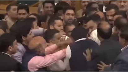 ആർട്ടിക്കിൾ 370 പുനഃസ്ഥാപിക്കണമെന്ന് പ്രമേയം; ജമ്മു കശ്മീർ നിയമസഭയിൽ എംഎൽഎമാരുടെ കയ്യാങ്കളി