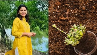 This nurse quit her job to start a vermicompost business; makes Rs 24 lakh in a year now