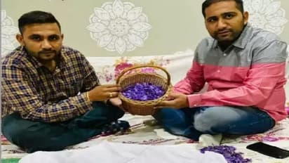 How two brothers from Haryana started a Kashmiri saffron business from home