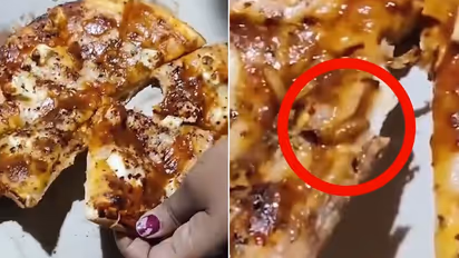 MP man finds crawling worm inside pizza; SHOCKING video sparks food safety concerns (WATCH)