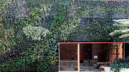 ಬೆಂಗಳೂರು ಏರ್ಪೋರ್ಟ್ನ ಟರ್ಮಿನಲ್ - 2ರಲ್ಲಿ ಮಣ್ಣು ರಹಿತ ವರ್ಟಿಕಲ್ ಗಾರ್ಡನ್ ಅಭಿವೃದ್ಧಿ