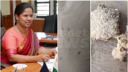 വയനാട് ഭക്ഷ്യകിറ്റ്: നിർണായക നടപടിയുമായി കളക്ടർ, കിറ്റ് വിതരണം നിർത്തിവെക്കാൻ മേപ്പാടി പഞ്ചായത്തിന് നിർദ്ദേശം