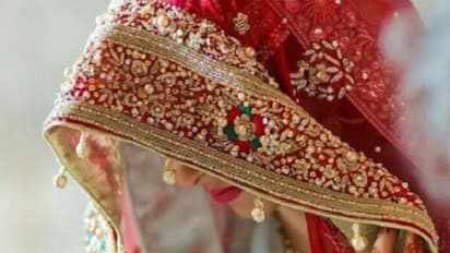 जयमाला स्टेजवर दूल्हा-दुल्हनचा राडा, व्हिडिओ व्हायरल