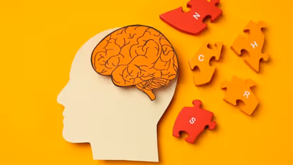 ನೆನಪುಗಳು ಮೆದುಳಲ್ಲಿ ಮಾತ್ರವೇ ಇರೋದಿಲ್ಲ, ಕಿಡ್ನಿಯಲ್ಲೂ ಇರುತ್ತಂತೆ!