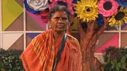 నక్కలు, పిచ్చికుక్కలు ఓట్ చేస్తే టేస్టీ తేజని పనిష్ చేస్తారా? నాగార్జున, బిగ్ బాస్పై ట్రోల్స్