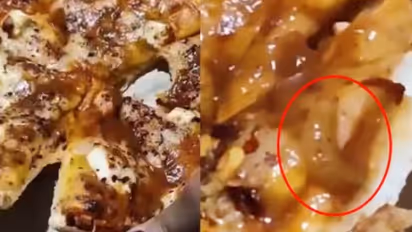 'ബ്രോ ഒരു പിസ്സ ഓർഡർ ചെയ്തു, പക്ഷെ കണ്ടില്ലേ ഇതാണ് അവസ്ഥ', സോഷ്യൽ മീഡിയയിൽ വൈറലായി വീഡിയോ, പിസയിൽ പുഴുക്കൾ