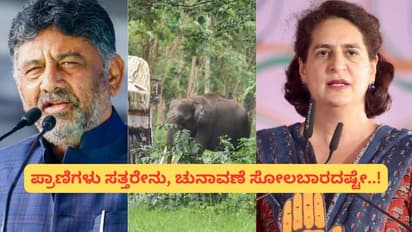 ಕೇರಳ, ಗಾಂಧಿ ಕುಟುಂಬದ ಲಾಬಿಗೆ ಮಣಿದ ಡಿಕೆಶಿ; ಬಂಡಿಪುರ ನೈಟ್‌ ಟ್ರಾವೆಲ್‌ ಬ್ಯಾನ್‌ ವಾಪಾಸ್‌?