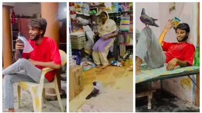 'ഈ പ്രാവ് സ്വിഗ്ഗി, സൊമാറ്റോ ഡെലിവറി ബോയ്സിന് ഭീഷണി'; പ്രാവിനെ ഉപയോഗിച്ച് സാധനം വാങ്ങി യുവാവ്; വീഡിയോ വൈറൽ 