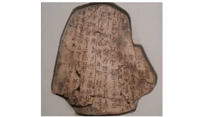 ഭാവി പ്രവചിച്ച അസ്ഥികൾ; ചൈനയിൽ നിന്നും ലഭിച്ചത് 3,250 വർഷം പഴക്കമുള്ള ലിഖിതങ്ങളോട് കൂടിയ ആമത്തോടും അസ്ഥികളും 