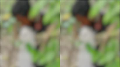 കഴുത്തിൽ തുണി ചുറ്റി മരത്തില് തൂങ്ങിയ നിലയിൽ യുവാവ്; ദുരൂഹത, അന്വേഷണം തുടങ്ങി പൊലീസ്