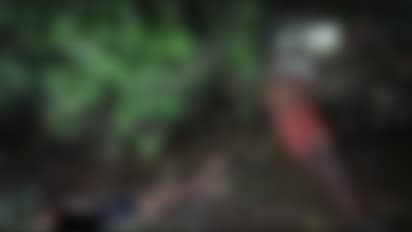 പാലക്കാട് വൈദ്യുതി കെണിയിൽ നിന്ന് ഷോക്കേറ്റ് അച്ഛനും മകനും മരിച്ചു