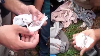 റോക്കി റോയിയും അറസ്റ്റിൽ, സ്വകാര്യ ബസിൽ നിന്നും എംഡിഎംഎ പിടിച്ചെടുത്ത കേസിൽ രണ്ടാമത്തയാളെയും പ്രതിചേർത്തു