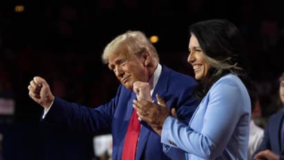 Who is Tulsi Gabbard? Meet Hindu American appointed by Donald Trump as US Intelligence Chief