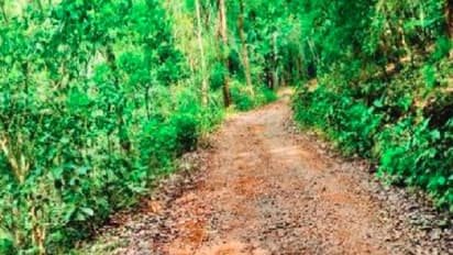 ಕಾರ್ಕಳ: ನಕ್ಸಲ್‌ ಪೀಡಿತ ಈದು ಗ್ರಾಮದಲ್ಲಿ 'ಇಲ್ಲ' ಗಳ ನಡುವೆ ಬದುಕು!