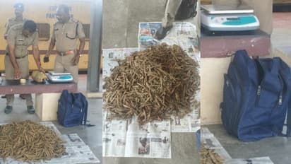 തൃശൂർ റെയിൽവേ സ്റ്റേഷനിലെ മൂന്നാം പ്ലാറ്റ് ഫോമിൽ നീല ബാഗ്, ഉടമസ്ഥനില്ല: തുറന്നപ്പോൾ കിട്ടയത് 10 കിലോ കഞ്ചാവ്!