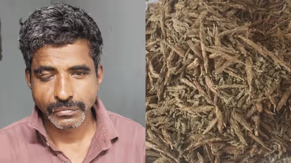 കൽപ്പറ്റ സ്റ്റാൻഡിൽ ട്രോളി ബാഗുമായി ഒരാൾ, സംശയം തോന്നി പൊലീസ് വളഞ്ഞു; ഉള്ളിൽ 10 കിലോ കഞ്ചാവ്, പ്രതി പിടിയിൽ