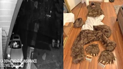 കൂട്ടത്തിലൊരാൾ കരടിയായി, നാല് കൂട്ടുകാരും ചേര്‍ന്ന് പ്ലാന്‍ ചെയ്തു, പക്ഷേ പൊളിഞ്ഞു, ഒടുവില്‍ അറസ്റ്റ്