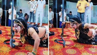 ಹಾವಿನ ಜೊತೆ ಡಾನ್ಸರ್ ಸರಸ, ಹುಚ್ಚಾಟಕ್ಕೆ ನೆಟ್ಟಿಗರು ಗರಂ