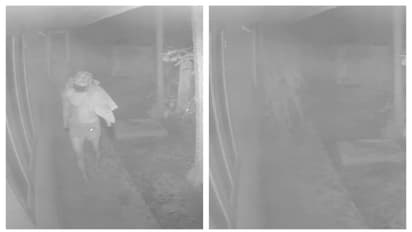 വടക്കന്‍ പറവൂരില്‍ ആറ് വീടുകളിലെ മോഷണശ്രമം: പിന്നില്‍ കുറുവ സംഘമെന്ന് ഉറപ്പായില്ലെന്ന് പൊലീസ്