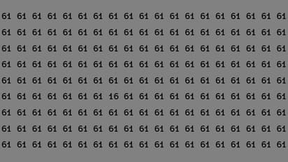 Optical Illusion Game Challenge 16 November 2024