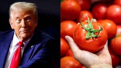 ട്രംപോ തക്കാളിയോ, ഇന്ത്യയുടെ പ്രധാന പ്രശ്നം ഇതിലേത്?