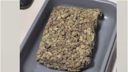 മലപ്പുറം, എറണാകുളം, കോഴിക്കോട് സ്വദേശികൾ; എത്തിയത് വിദേശത്ത് നിന്നും, ബാഗിൽ നിന്നും പിടിച്ചത് ഹൈബ്രിഡ് കഞ്ചാവ്